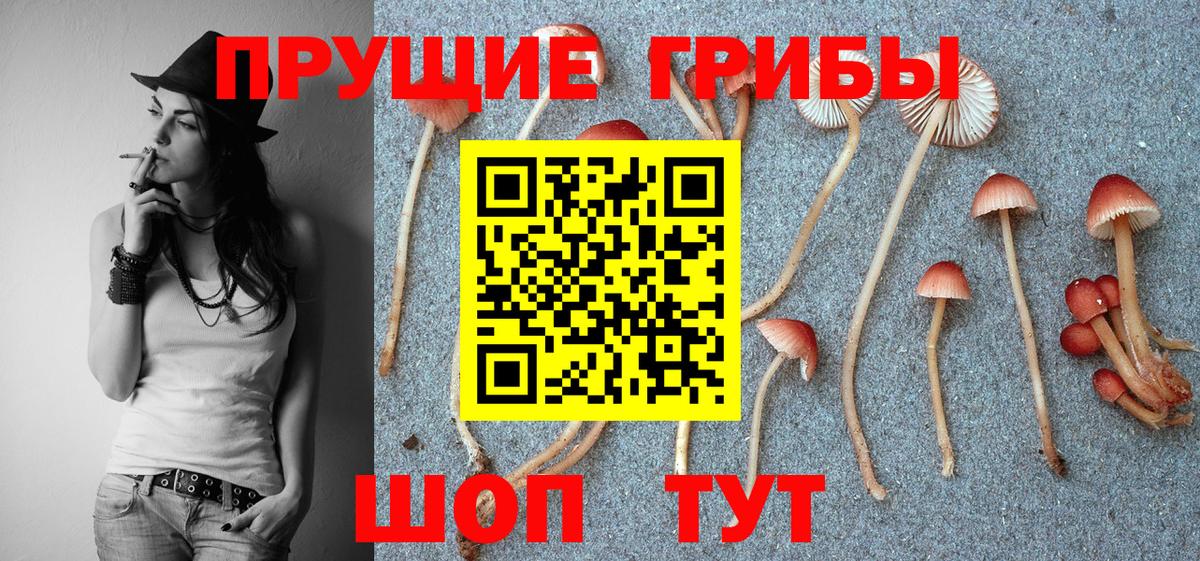 Псилоцибиновые грибы Psilocybine cubensis  продажа наркотиков  Первоуральск  Галлюциногенные грибы MAGIC MUSHROOMS  Вход с VPN 