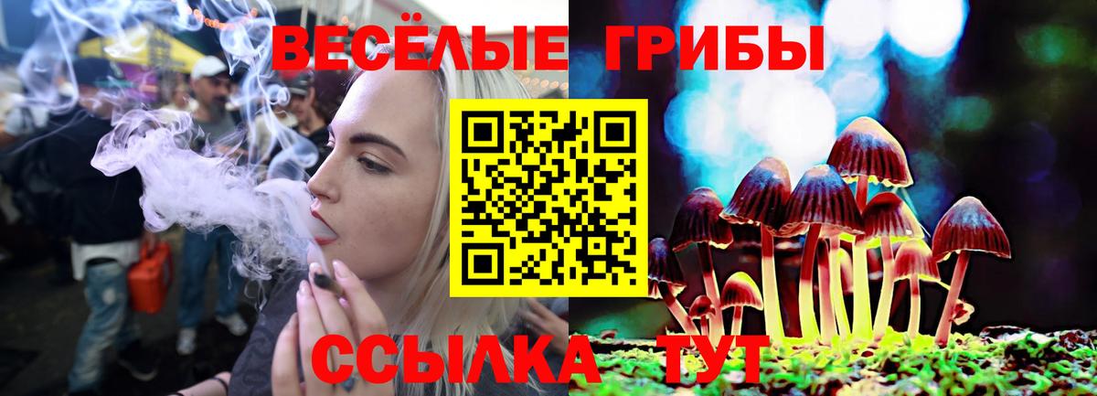 Псилоцибиновые грибы мухоморы Первоуральск